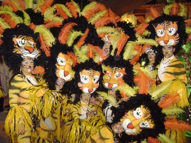 Carnavales 2010  27 